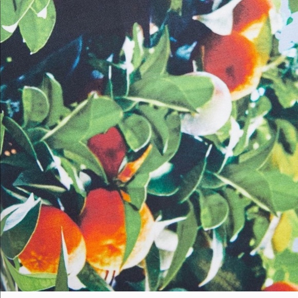 NWT Anthropologie Orange bough dress - Picture 3 of 7